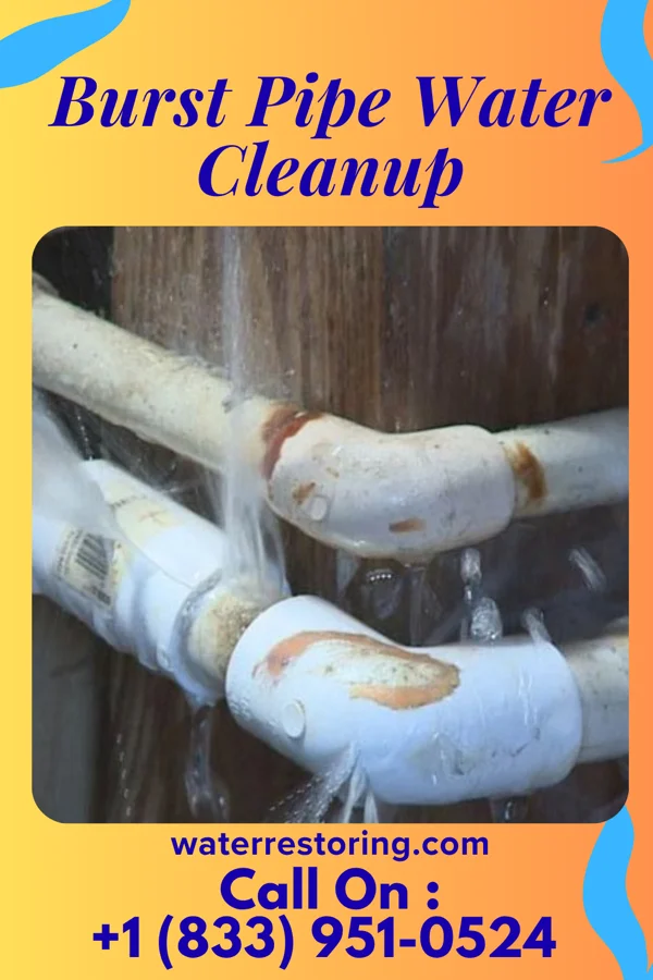 Burst Pipe Water Cleanup in Saint John Fisher College, NY
