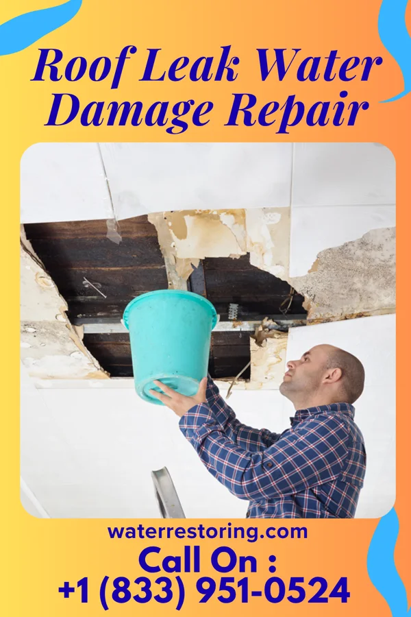 Roof Leak Water Damage Repair in Saint John Fisher College, NY