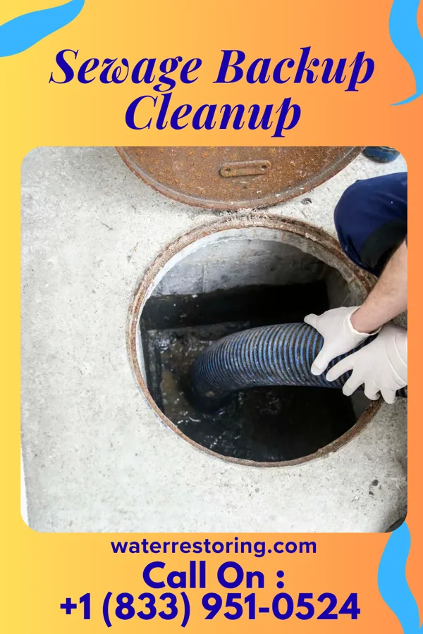 Sewage Backup Cleanup in Saint John Fisher College, NY