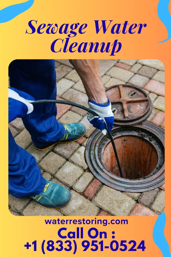 Sewage Water Cleanup in Saint John Fisher College, NY