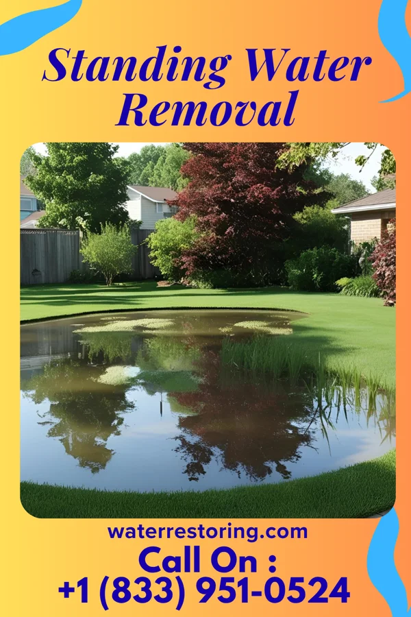 Standing Water Removal in Saint John Fisher College, NY
